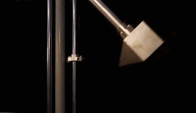 袁某，拘留5天！请务必引以为戒！