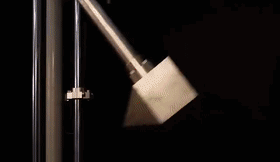 袁某，拘留5天！请务必引以为戒！