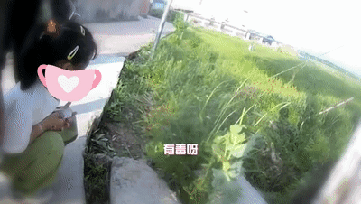 立功了!5岁女孩往草丛里看了一眼,不对劲... 立功了!5岁女孩往草丛里看了一眼,不对劲...