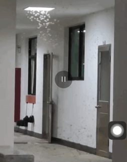 你不要过来啊!“水蚁大军”出没中,密恐慎入…… 你不要过来啊!“水蚁大军”出没中,密恐慎入……