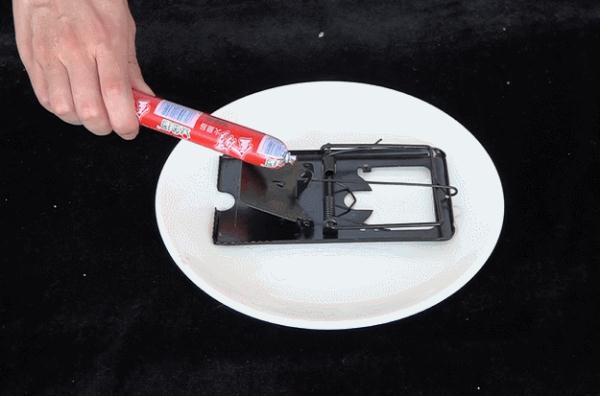 “蓝朋友”直奔医院，竟因一只老鼠？！