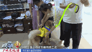 狗子在厂里抓老鼠当模特，月入三千还有工资条！