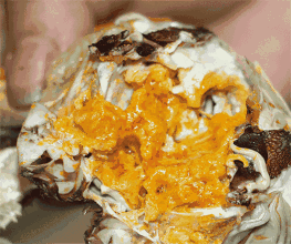 定了!6月试运营!上海人坐地铁去苏州,站台、换乘抢先看→ 定了!6月试运营!上海人坐地铁去苏州,站台、换乘抢先看→