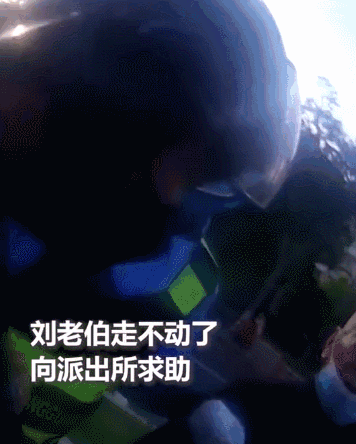 为了她，他找了半个城！网友：他真的，我哭死……