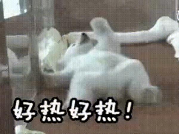 台风“玛娃”靠近，广东热到“发紫”