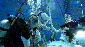 “同学你导师呢？” &nbsp;“我导师去太空啦！”