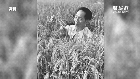 让所有人远离饥饿——袁隆平的故事 让所有人远离饥饿——袁隆平的故事