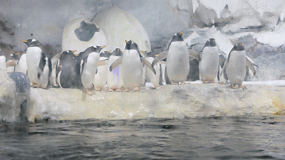 带娃去哪儿玩？“浙”些乐园，每个都能让你乐到飞起来