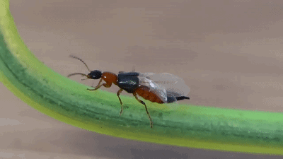 一觉醒来,杭州大伯胸口着火般的辣!医生提醒… 一觉醒来,杭州大伯胸口着火般的辣!医生提醒…