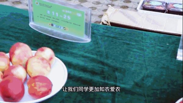 预估10万斤！“荔枝大学”免费吃荔枝！网友：羡慕了