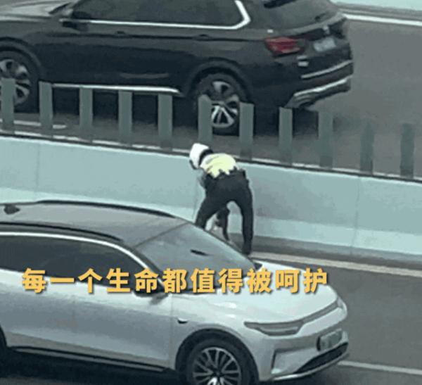 合肥交警一个举动，登上热搜！