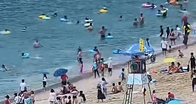 1天8起!暑假来临,千万别做“孤泳者” 1天8起!暑假来临,千万别做“孤泳者”