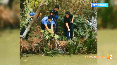 凌晨，凶猛的鳄鱼从菜市场逃得无影无踪！4天后，有人发现它在……