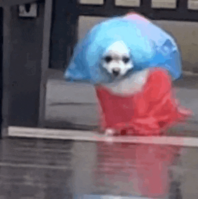 局部暴雨突袭！厦门发布预警！端午将……