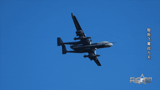 罕见画面！“双尾蝎”上演猎杀时刻→