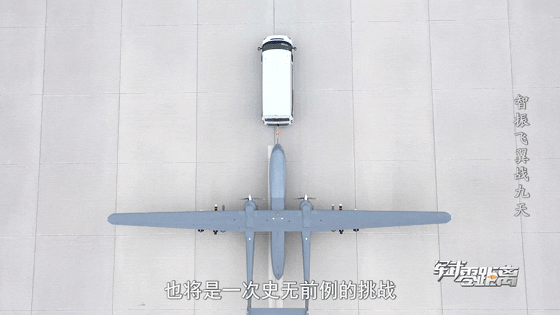 罕见画面！“双尾蝎”上演猎杀时刻→