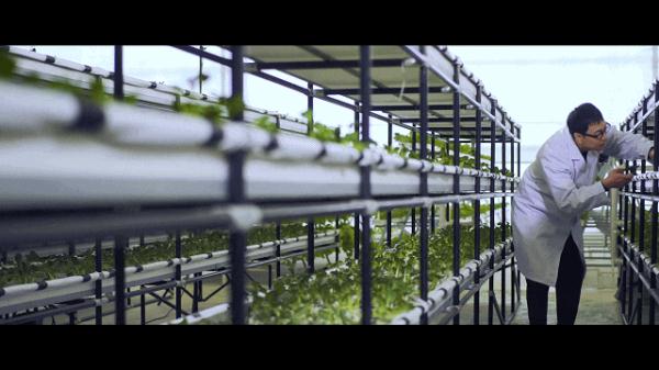 十年前他是植物学“学霸”,十年后他是网警“尖兵”! 十年前他是植物学“学霸”,十年后他是网警“尖兵”!