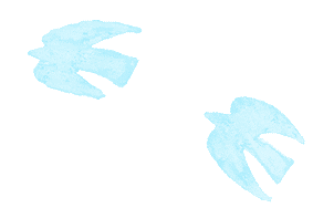 本周江苏多降水！谨防短时强降水、雷暴大风等强对流天气