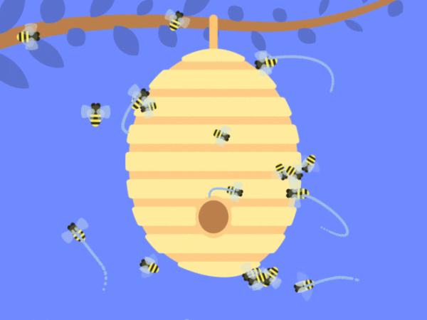 当心“蜂出没”！他们1小时摘除3个马蜂窝
