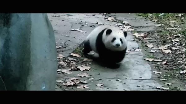 倒计时20天！成都大运会这部宣传片主打一个欢乐