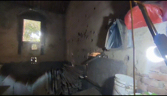 吓人!25斤巨蟒闯入福建一居民家中 吓人!25斤巨蟒闯入福建一居民家中