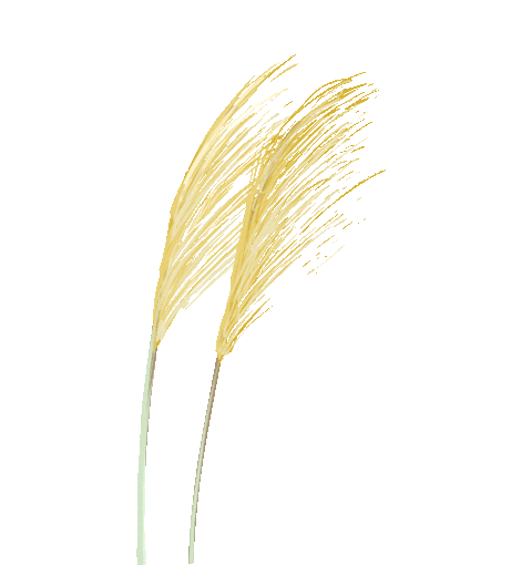 2498片玉片、1100克金丝、制作工期10年+ 2498片玉片、1100克金丝、制作工期10年+