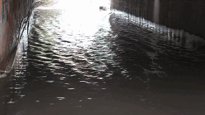 女子在桥洞内避雨时,不慎被冲入水中失联!汛期避险,你必须知道! 女子在桥洞内避雨时,不慎被冲入水中失联!汛期避险,你必须知道!