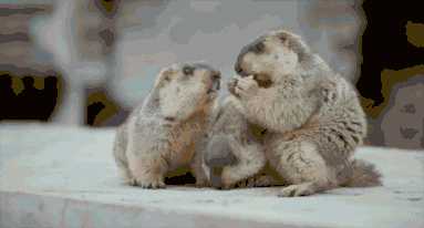 去这些地方旅游的人请注意！这个热潮网红项目直接拒绝！