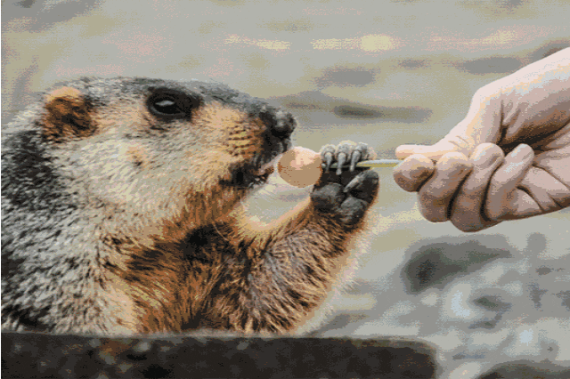 去这些地方旅游的人请注意！这个热潮网红项目直接拒绝！