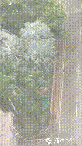 “福州怎么风平浪静？”千万别大意！最强风雨已开启，即将影响福州……