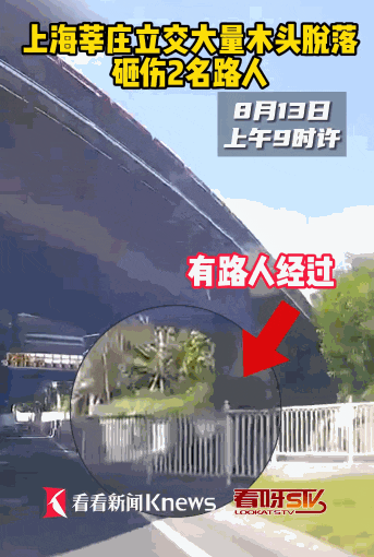 画面惊险！上海高架桥上掉下重物，有路人被砸伤？ 警方回应→