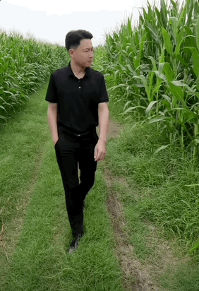 千万粉丝主播疑因涉税问题被封，中老年顶流“房要塌”？