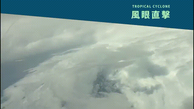 “苏拉”登陆，“海葵”来袭！现场画面传回，他们这样应对→