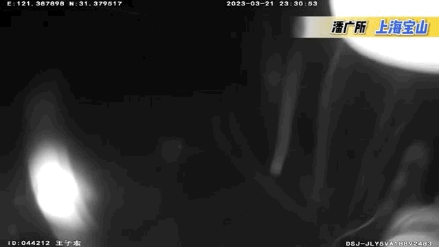 上海一车主为躲查酒驾跳入美兰湖2小时？不止一例……