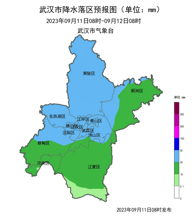 暴雨雷电+9级大风！武汉发布预警