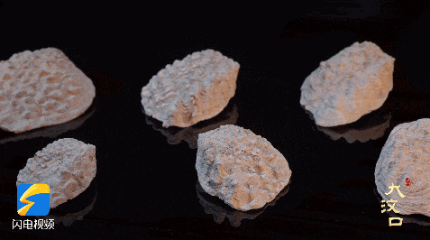 5000年前的“山东大汉”，身高就超1米9啦！