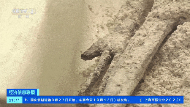 中国航天回应疑似“外星生物”，发现者被揭底