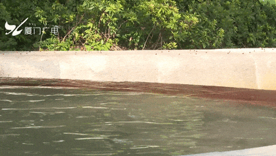 厦门这处网红温泉泡脚池，水质变差？最新回应→