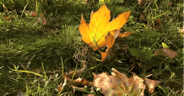 河北大范围降雨上线,注意这些事!未来三天... 河北大范围降雨上线,注意这些事!未来三天...