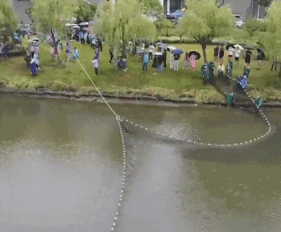 太馋人了!沪一高校捕鱼1300余斤,食堂大摆"全鱼宴" 太馋人了!沪一高校捕鱼1300余斤,食堂大摆"全鱼宴"