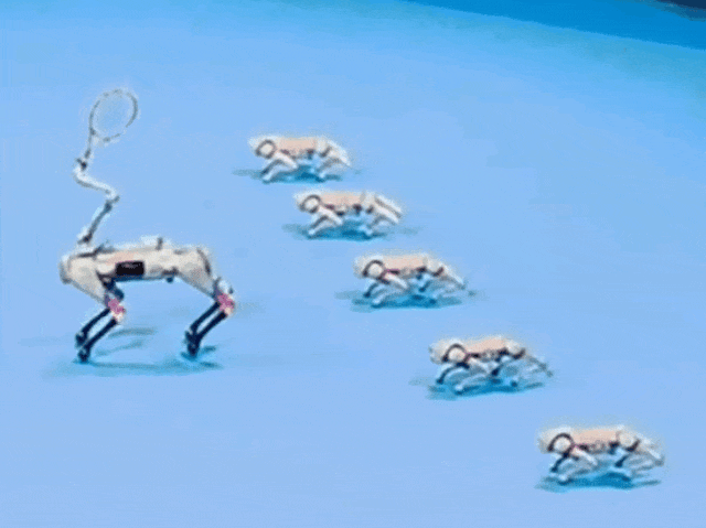 世界首次！“显眼包打工小狗” 来了