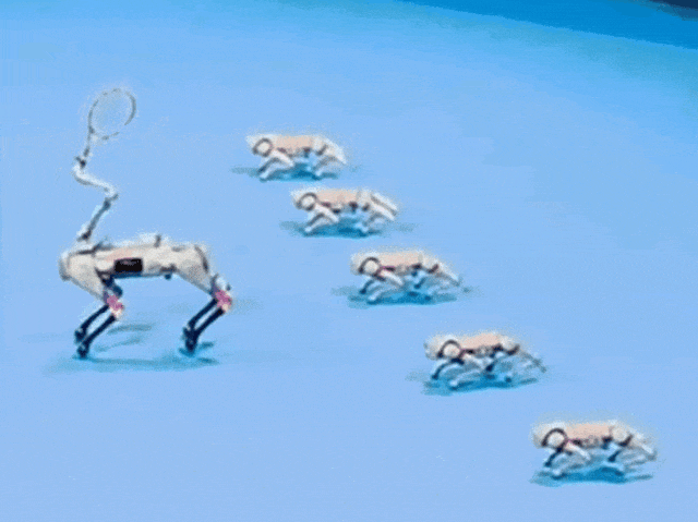 火到出圈儿的“亚运机器狗”其实不只会运铁饼 火到出圈儿的“亚运机器狗”其实不只会运铁饼