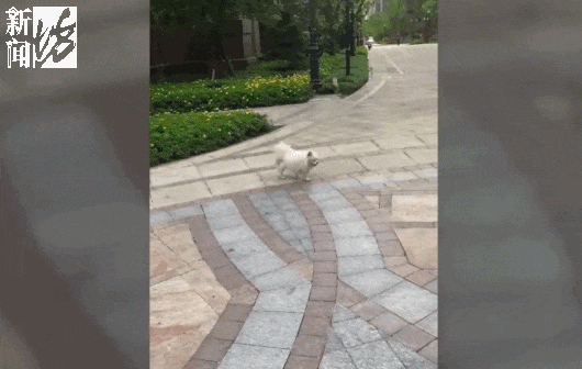 全网怒了!唐某,已被采取强制措施! 全网怒了!唐某,已被采取强制措施!