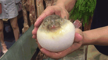 剧毒！男子吃了这种“美味”险丧命，医生紧急提醒