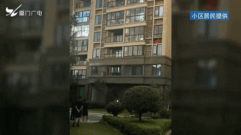 太吓人！厦门一小区惊现超大马蜂窝！还不止一个……