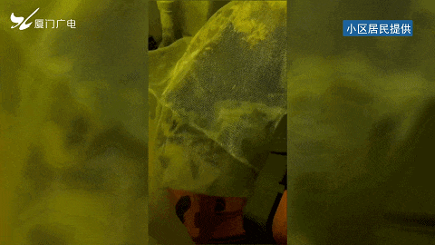 太吓人！厦门一小区惊现超大马蜂窝！还不止一个……