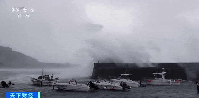 停航、停运、停课！风暴“夏兰”在欧洲已致至少16人遇难