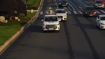 生了，是对龙凤胎！