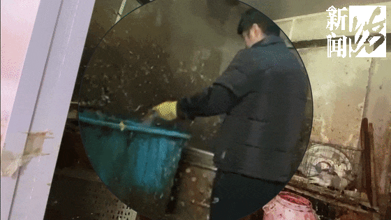 上海这条街整日热火朝天！都是违法的？有居民忍不了被迫搬离…