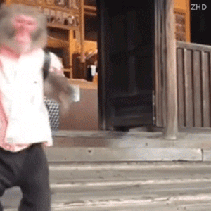 又有东北小吃在夜市上火了!网友:不理解但大受震撼 又有东北小吃在夜市上火了!网友:不理解但大受震撼